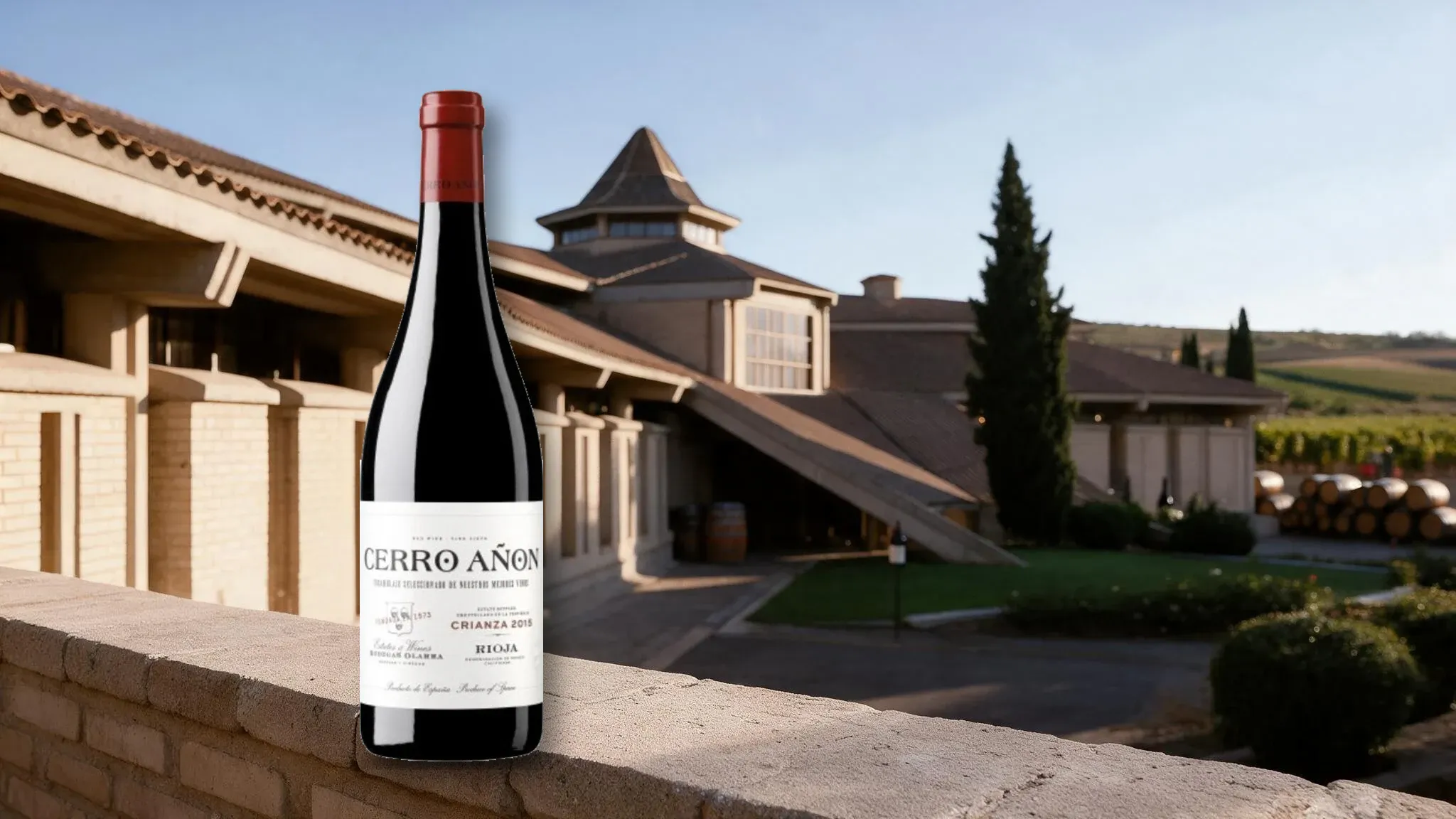 Butelka wina Cerro Añón Rioja